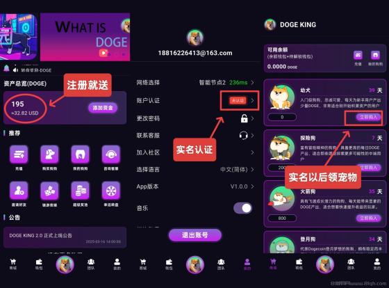 DogeKing首码上线：注册送800枚狗狗币，零成本开启财富之旅